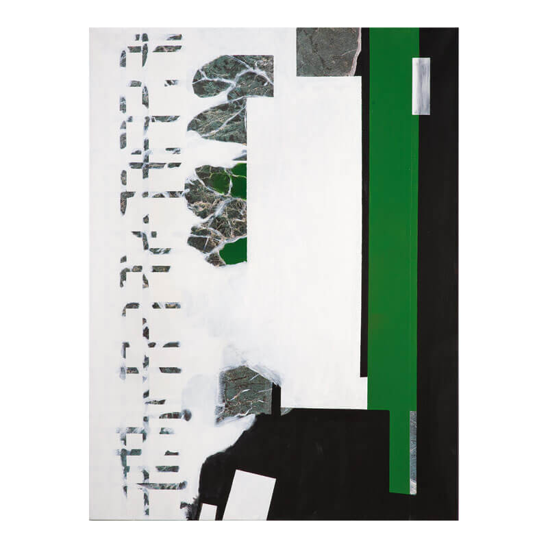 o.T. (a.d. Serie: Vom Ursprung), 2010, Lack, Digitaldruck auf Leinwand, H 136 cm, B 100 cm