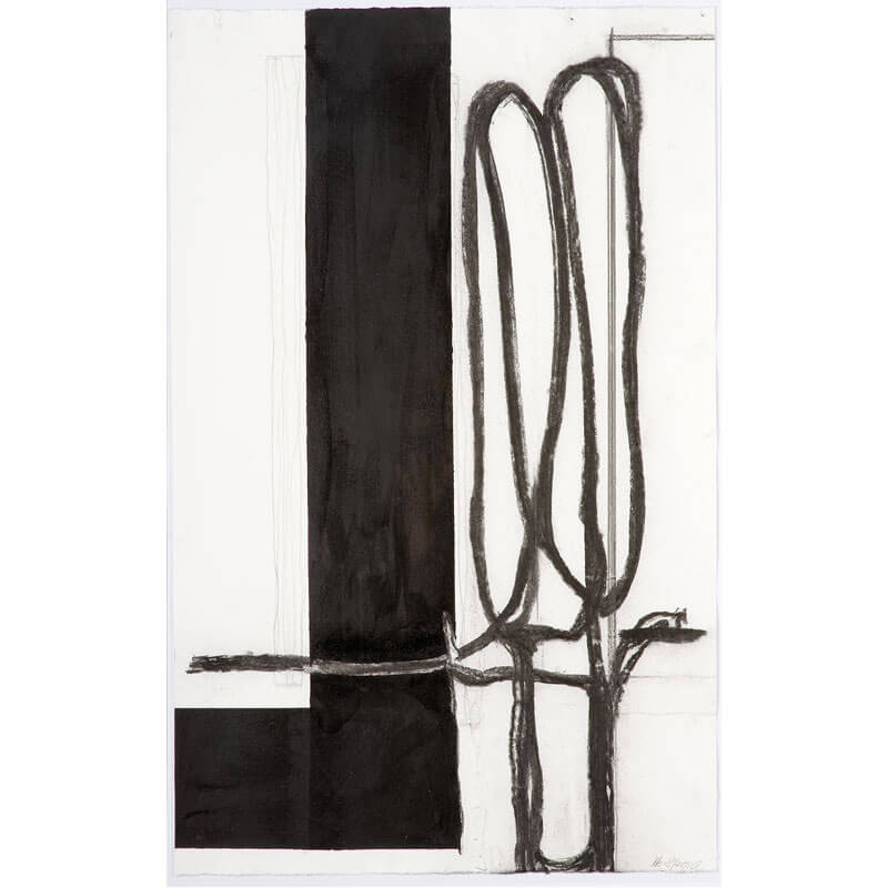 o.T. (a.d. Serie: Gebärde der Natur), 2010, Kohle, Lack auf Büttenpapier, H 78 cm, B 50 cm