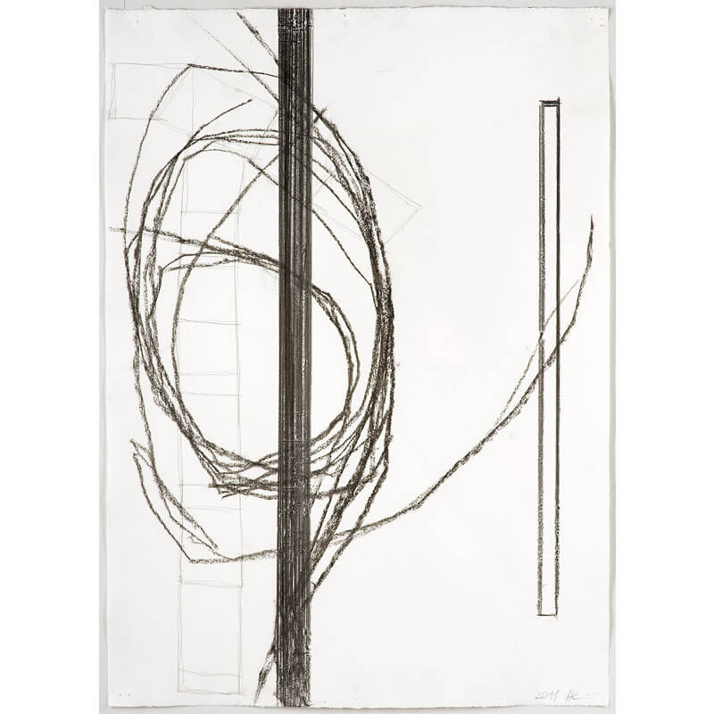 o.T. (a.d. Serie: Gebärde der Natur), 2011, Kohle, Graphit auf Büttenpapier, H 78 cm, B 56 cm