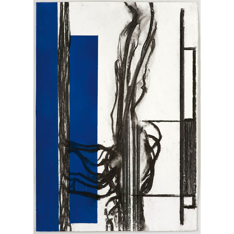 o.T. (a.d. Serie: Gebärde der Natur), 2011, Kohle, Graphit, Lack auf Büttenpapier, H 56 cm, B 37 cm