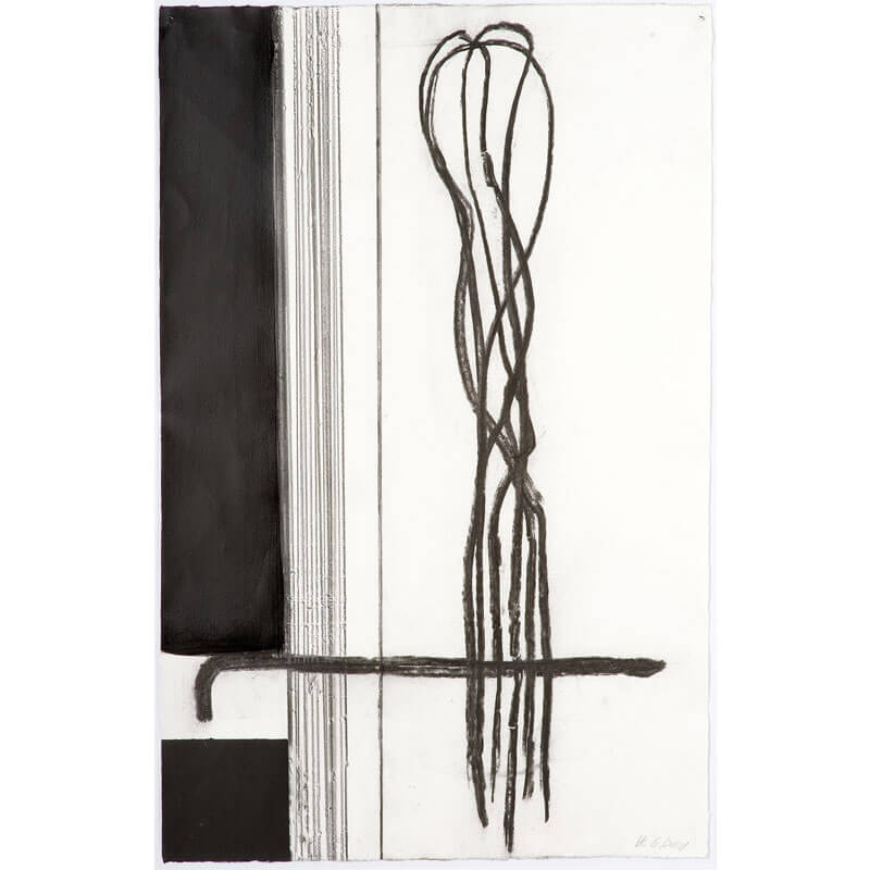 o.T. (a.d. Serie: Gebärde der Natur), 2010, Kohle, Lack auf Büttenpapier, H 78 cm, B 50 cm